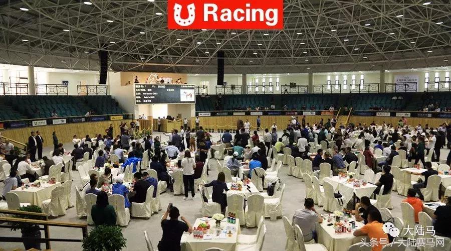 均价超30万，总成交价1300万！半数新马主成玉龙纯血马拍卖会主力