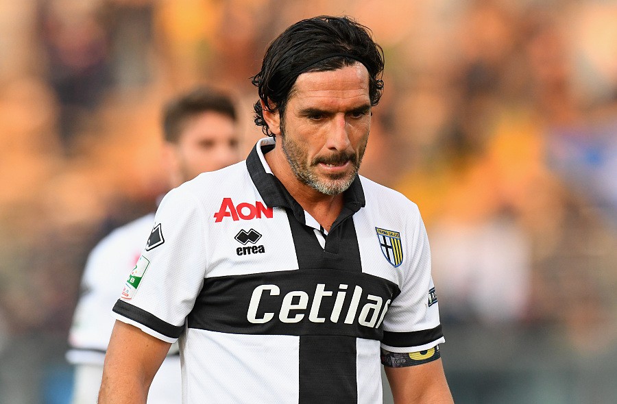 奶牛军团复苏史：连升三级创历史，七个姐妹终团聚