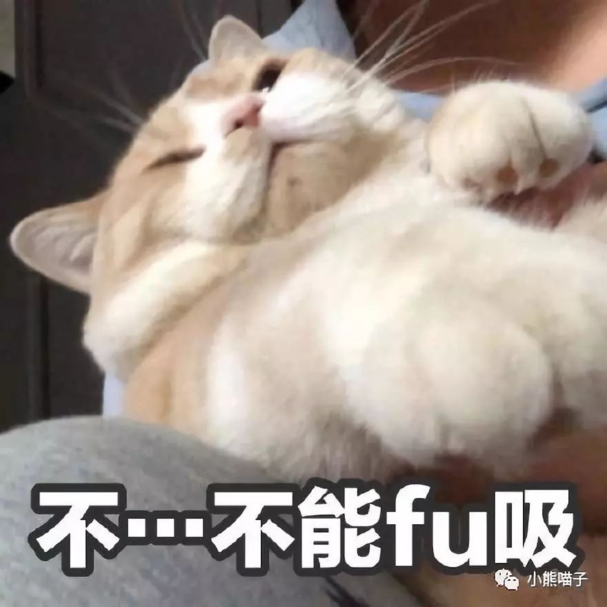 中村藤吉抹茶口感,中村藤吉抹茶