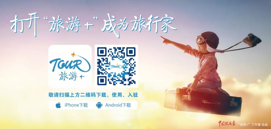 12个榜单同时发布，住宿业的佼佼者都有谁？