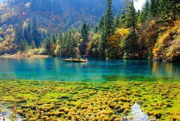 旅行社内部人员揭密旅游“*规则潜**”，国内各大景区慌了……