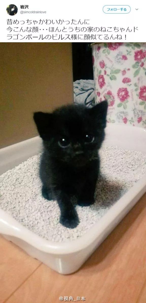 山田孝之为什么这么胖,山田孝之真实身高是多少