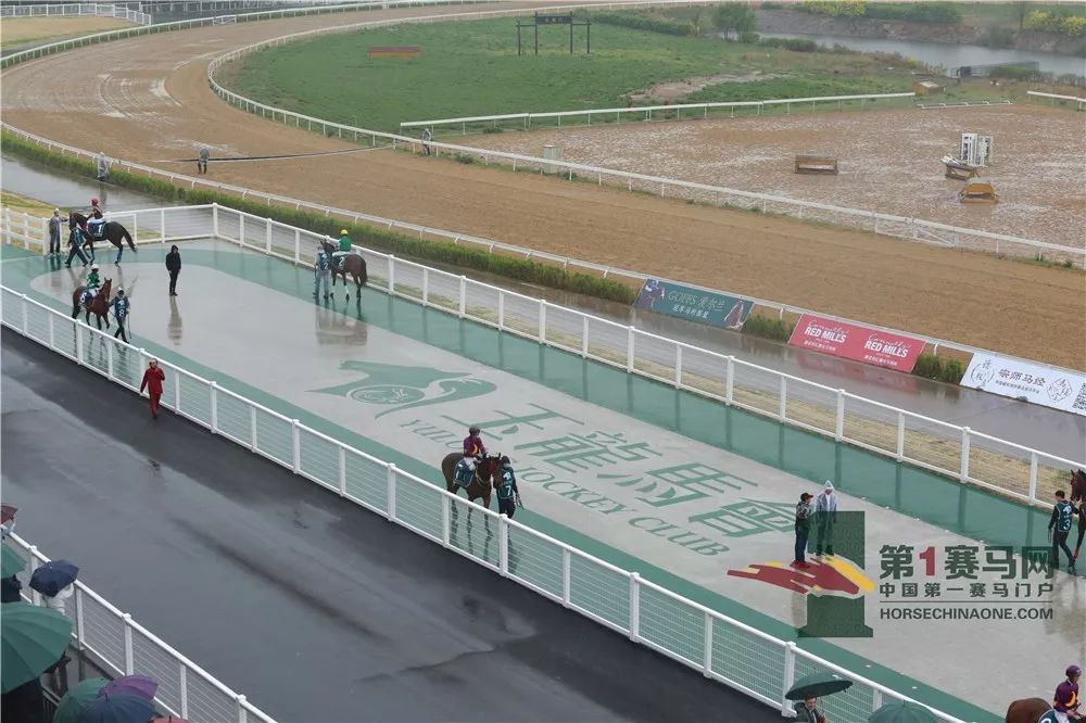 「现场」玉龙今日开锣赛，各路诸侯鏖战百万奖金！马主李勇夺最高奖金，“吉祥如意”马主王福军首战载誉归——1赛马网