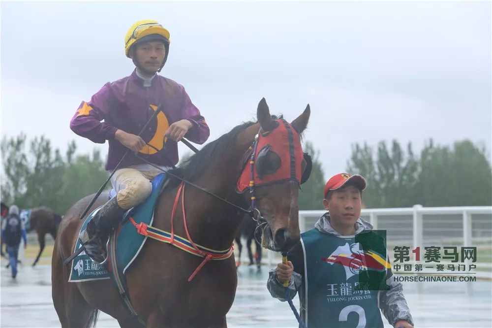 「现场」玉龙今日开锣赛，各路诸侯鏖战百万奖金！马主李勇夺最高奖金，“吉祥如意”马主王福军首战载誉归——1赛马网