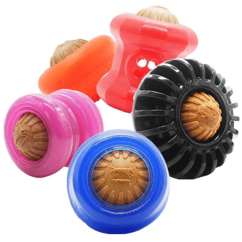 狗狗一出门就不见人了怎么办,狗狗在家老是咳嗽一出门就不咳