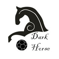 买球盈利包括本金吗,买球是对的吗