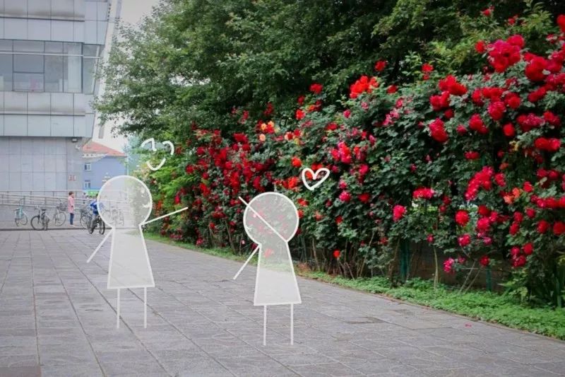 520绿幕素材我对你不仅仅是喜欢,520不仅仅代表爱情