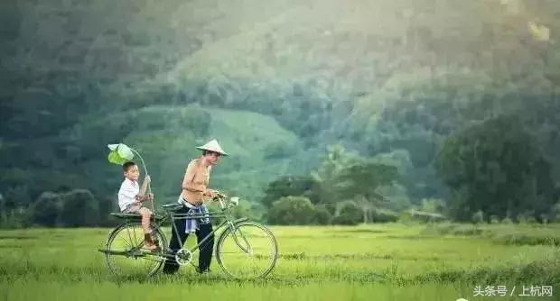 上杭人常说的“狗麻蛇”——你有多久没见到了？