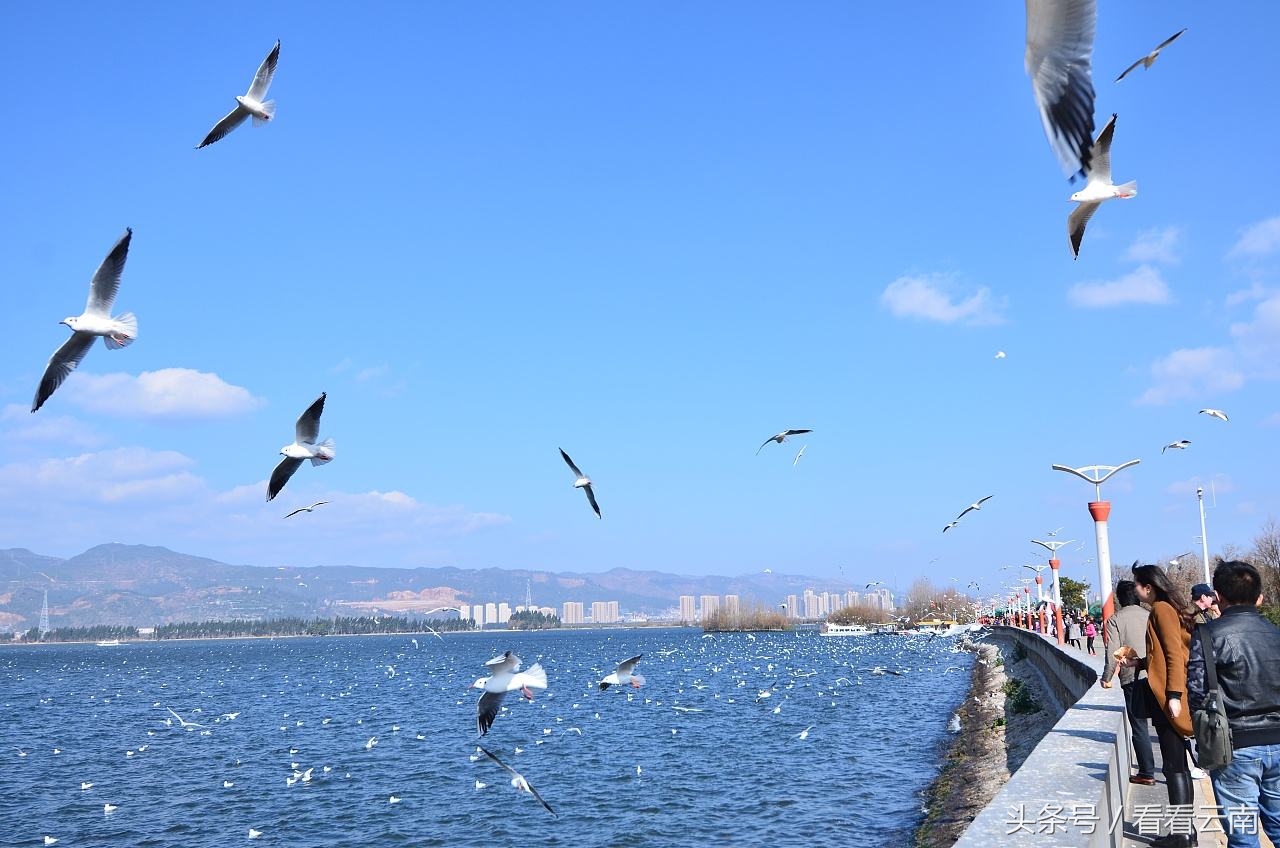 昆明，你到底得罪了谁？