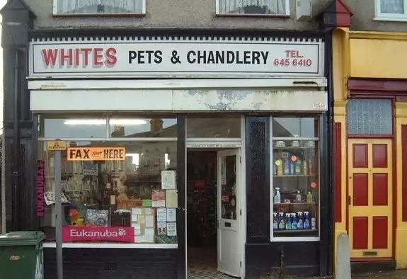 开宠物店怎么装修,年赚百万的宠物店