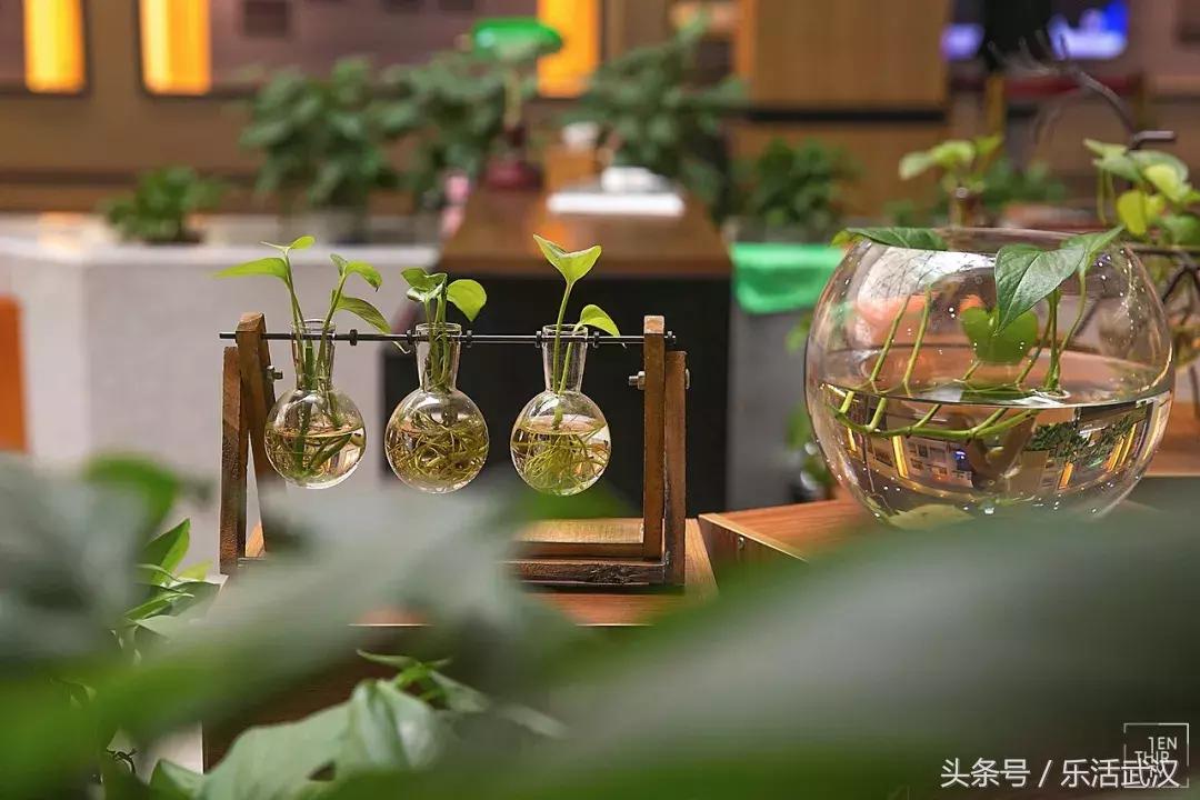 武汉有名的别称,武汉各个大学绰号