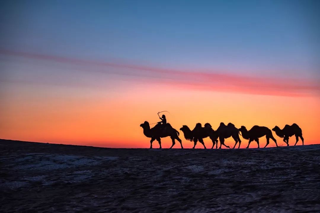 2017年高考全国一类卷满分作文,2017年高考满分作文山东卷