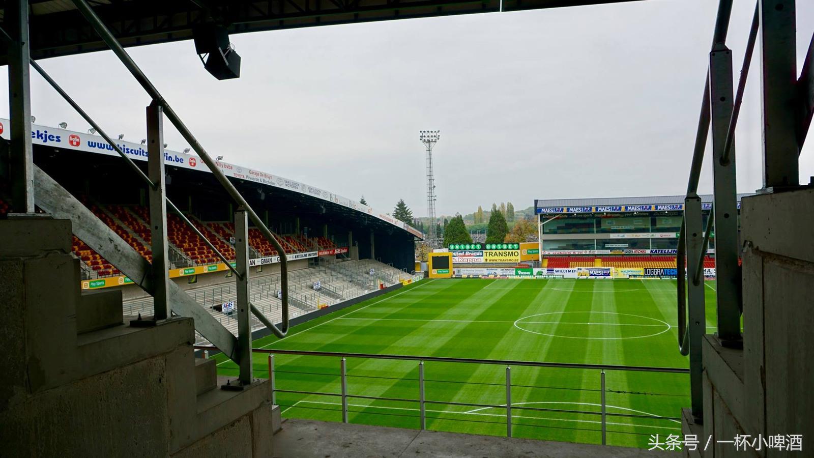 比利时出名的球员,比利时有名的球星