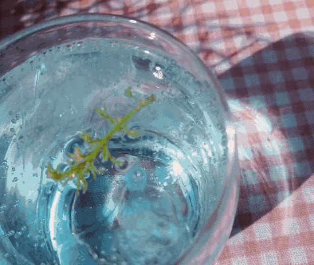 马鞍山有网红打卡基地吗,重庆马鞍山网红打卡景点