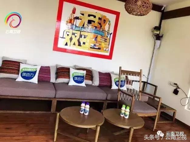 无敌双子星免费阅读,无敌双子星直播