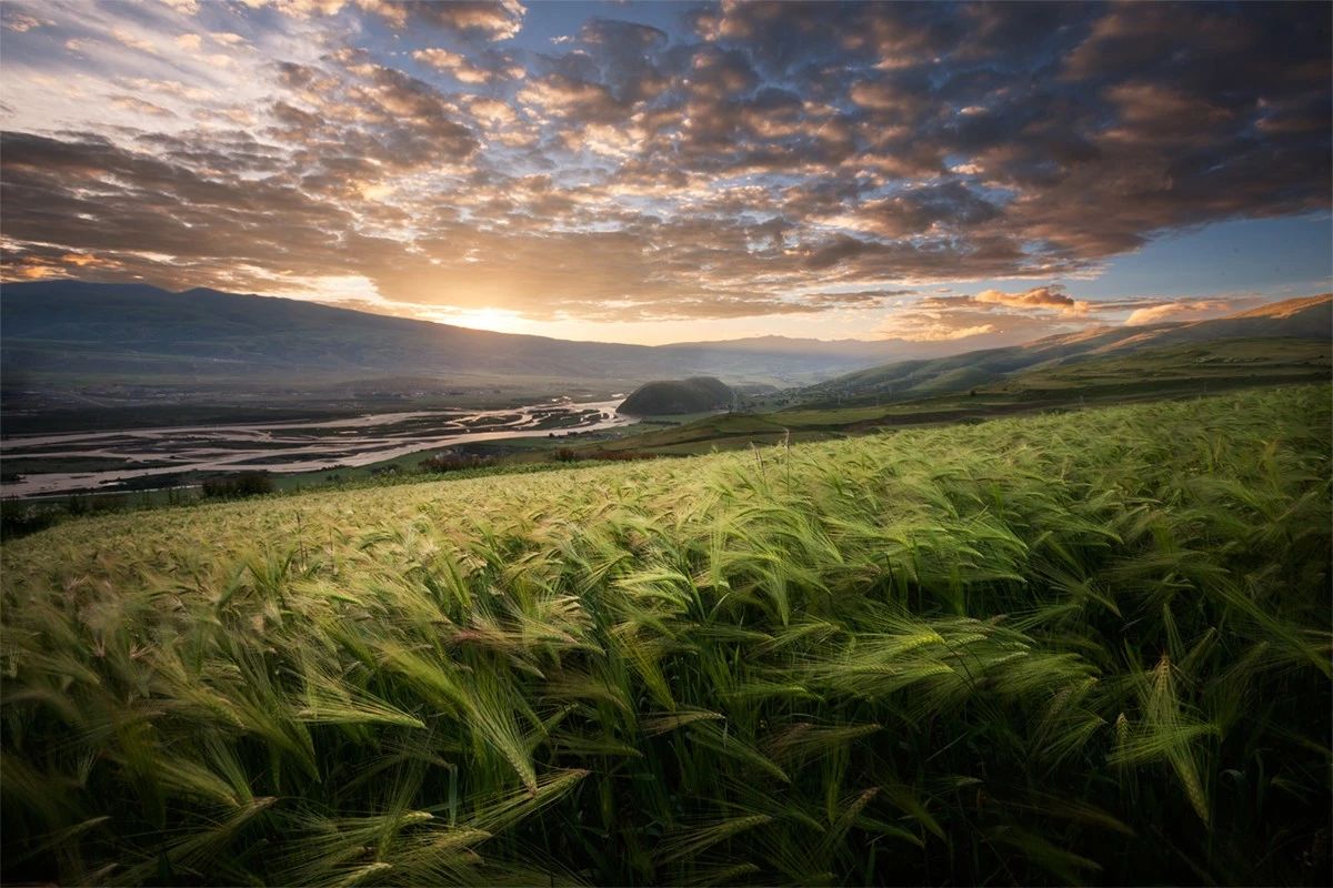 如何拍出油腻感的照片,怎么拍出油腻照片