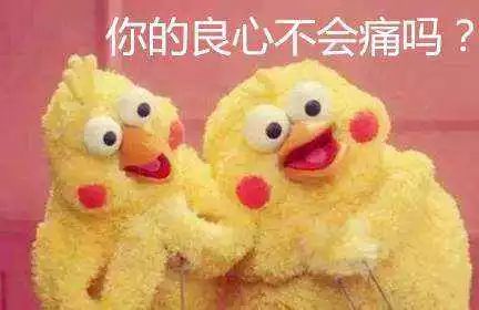 宁波网店有哪些套路,宁波十大骗局套路