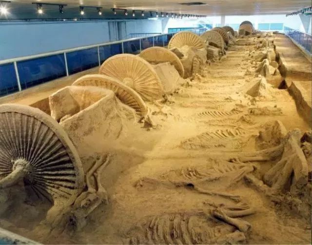 济青高铁2018年底通车 (济青高铁通车)