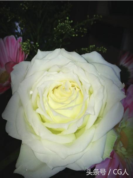 红米手机夜间拍照怎么打开闪光灯,晚上手机拍照怎么打开闪光灯