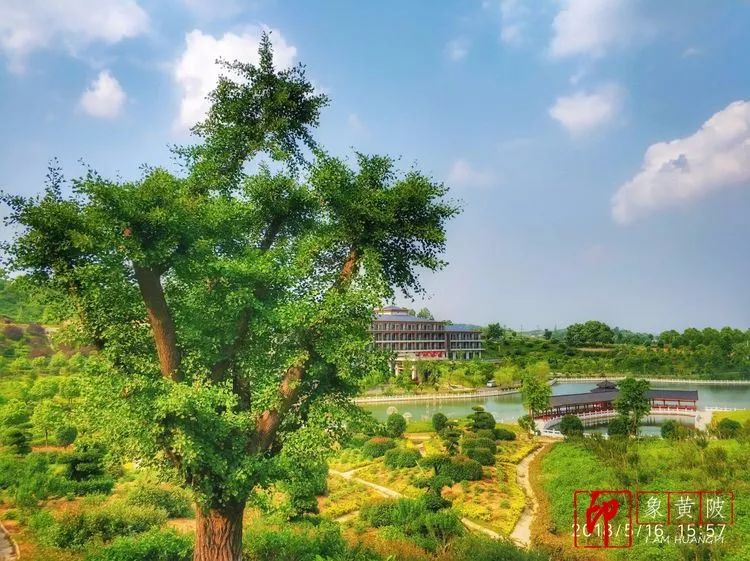 黄陂好景何处觅，火塔公路几十里