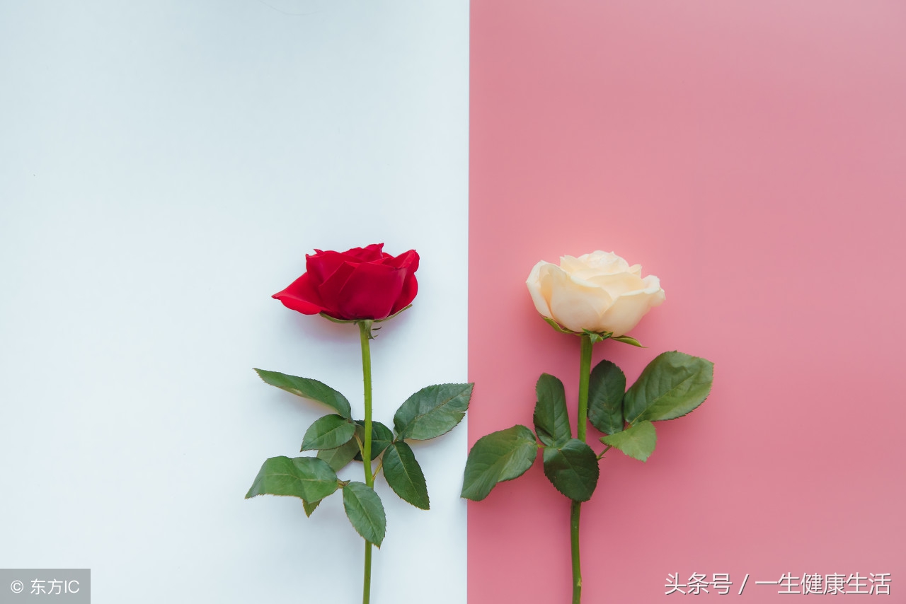 「N+」这些情况不能有*生活性**！