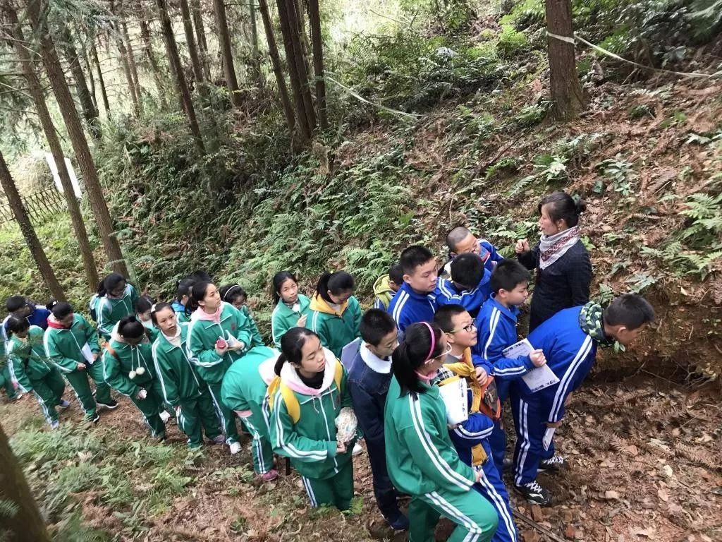 江西师大附中新校区,江西师大附中新龙校区最新进展