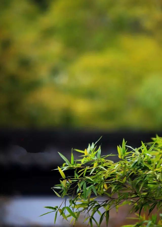 关于时光的唯美小诗,自然时光唯美散文诗歌简短