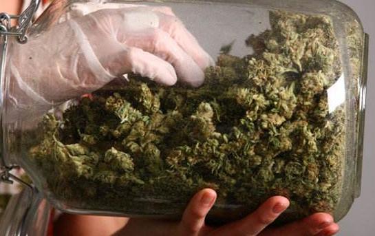 飞叶子是什么感觉？*麻大**有什么危害？