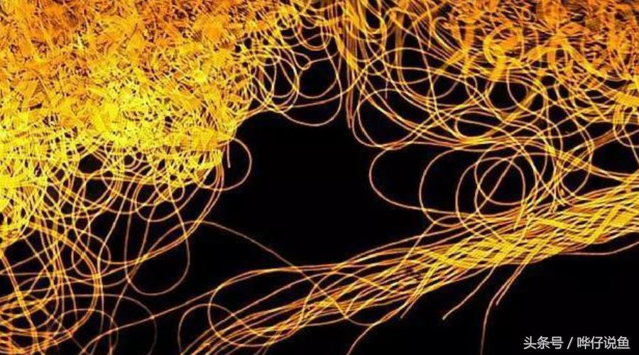 养观赏鱼em菌有必要吗,鱼缸养鱼em菌的正确使用方法