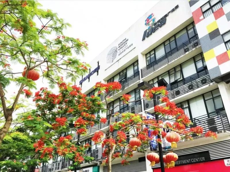 南国有嘉木的下一句是什么,南国有嘉木出处