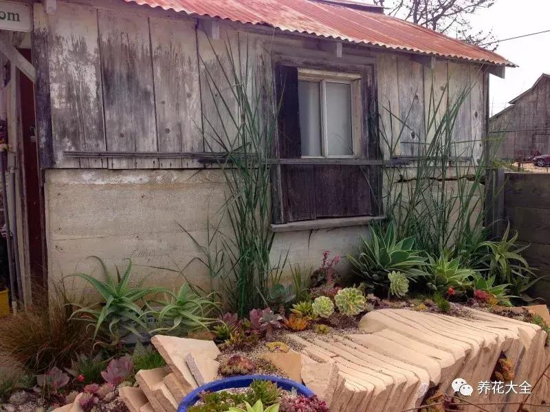 老外私家花园景观,国外多肉花园