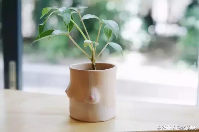 除了挖走北上广的年轻人，杭州还要掏空他们的钱包