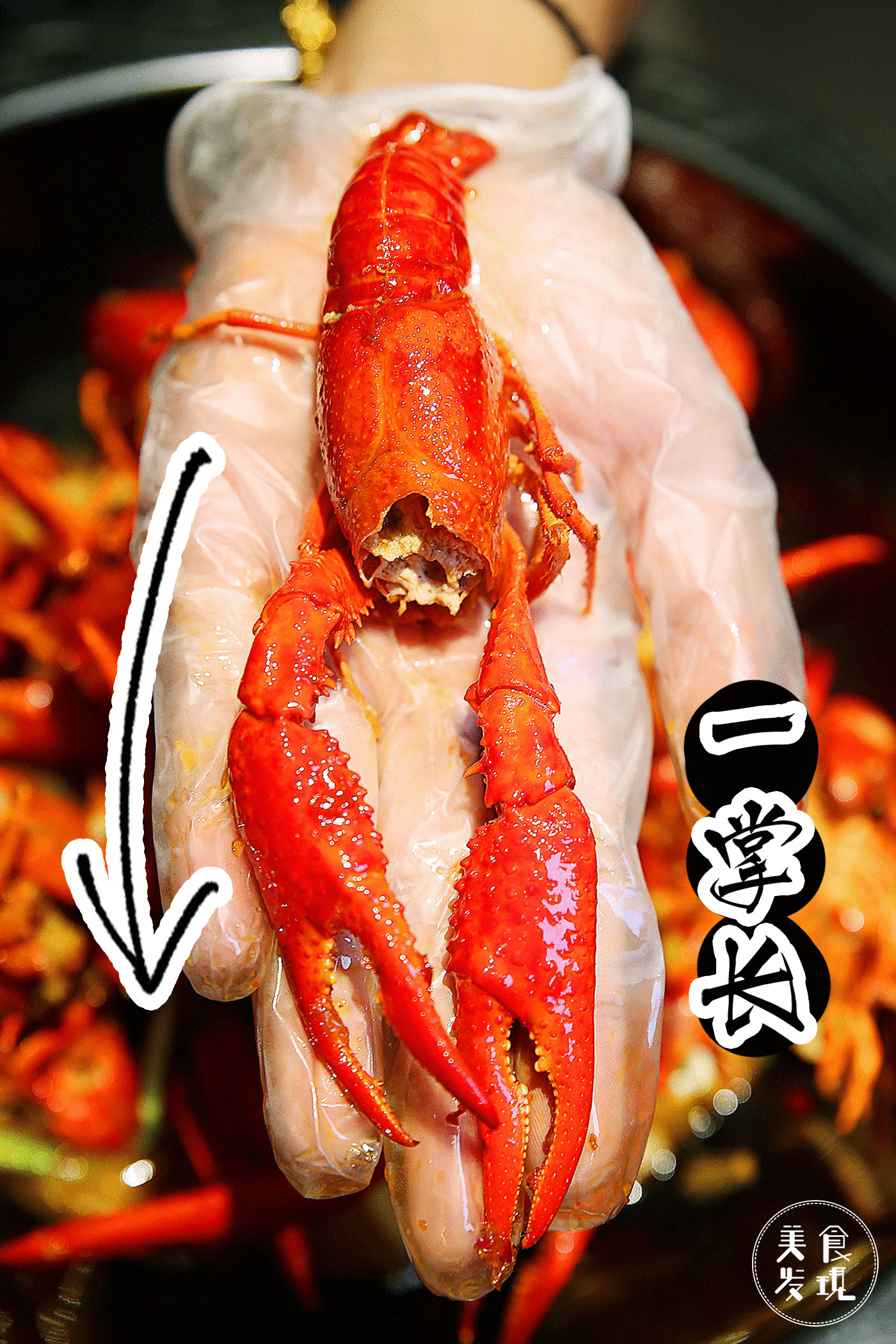 长沙老口子宵夜第一派！里手派的江湖从砂子塘一路打到了人民西！