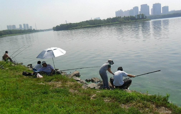 鲤鱼的钓法饵料,鲤鱼的经典钓法