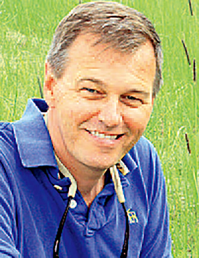 镜头功能介绍大全,怎么发挥手机镜头最大作用