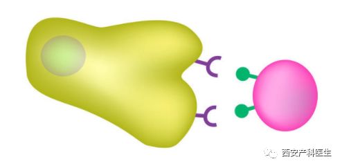 孕妇感冒硬扛好不好,孕妇感冒了是忍着还是吃药
