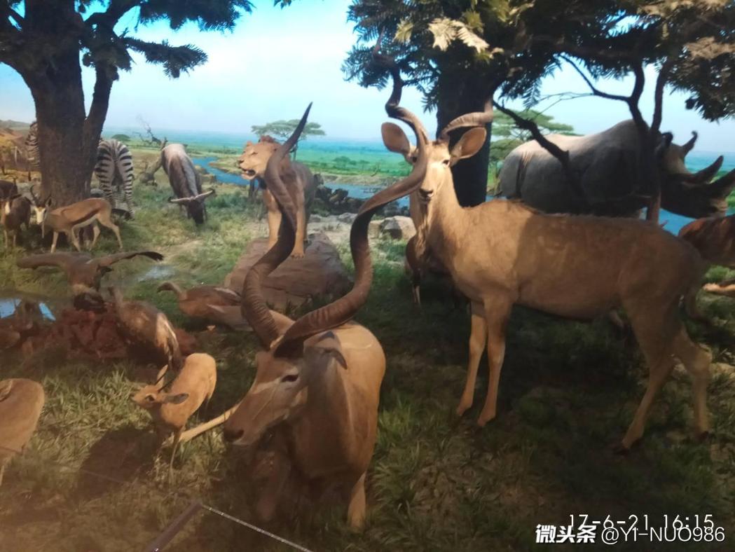 景点失恋博物馆,广州失恋博物馆与失恋星空博物馆