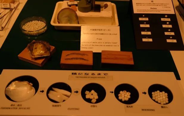 王珠宝寻宝日记：探访珍珠小城日本三重县鸟取市