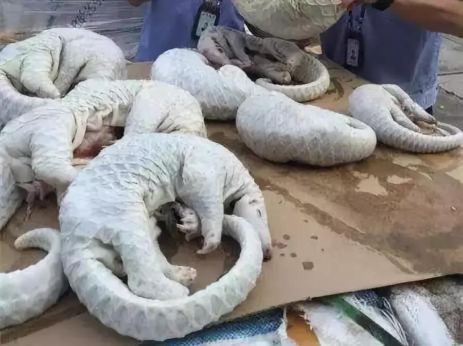 代购十大骗局揭秘图,真正的代购骗局