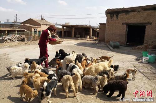 隐瞒丈夫，变卖首饰……为了流浪狗，她付出了自己的一切，值得吗？