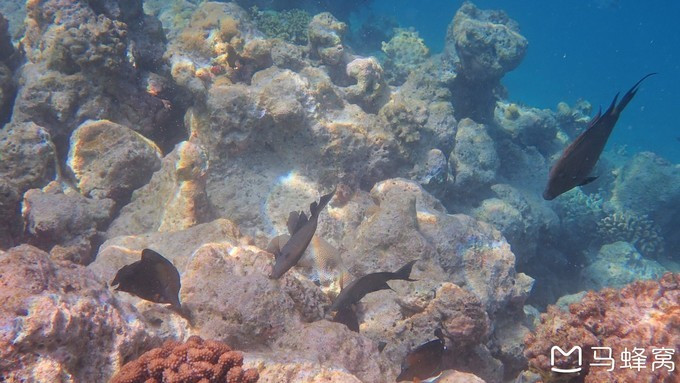蜜月之都马尔代夫,蜜月旅行之马尔代夫