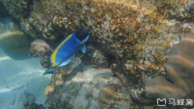 蜜月之都马尔代夫,蜜月旅行之马尔代夫