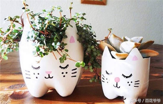 把瓶子变废为宝种花,玻璃瓶子变花盆怎么变废为宝