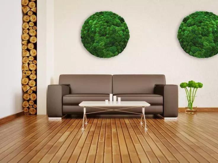 墙上种什么植物最好,景观墙上盆栽什么好看