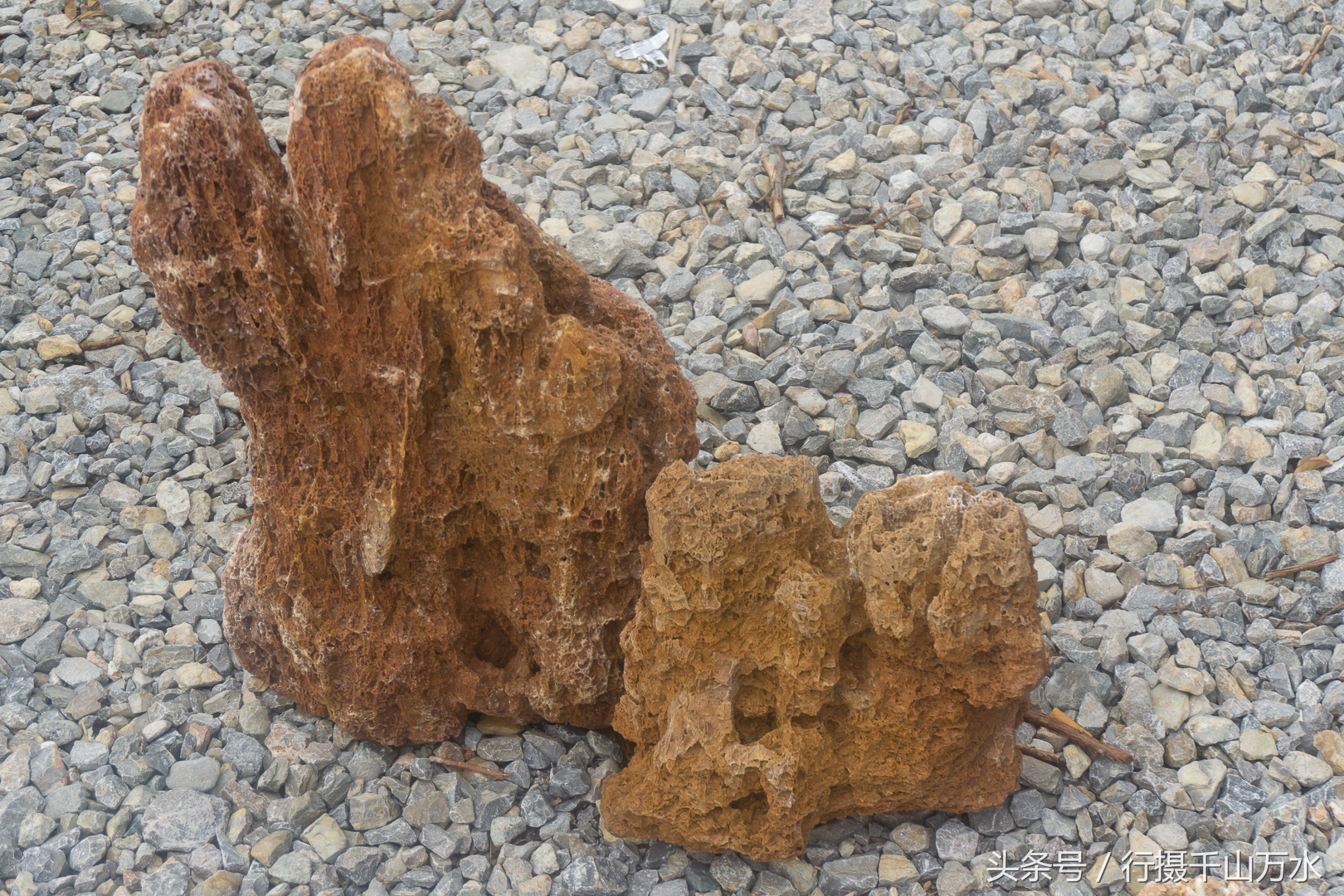 农村常见的树根摆件,农村树根制作工艺品