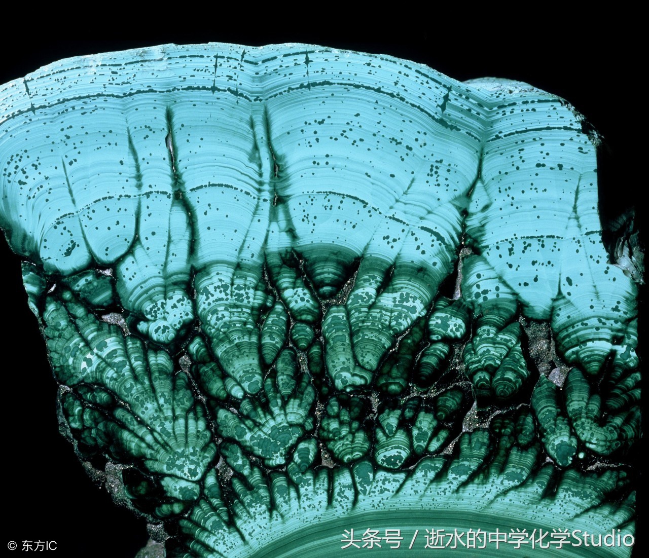 高中化学最基础的元素,高中化学元素知识网络图