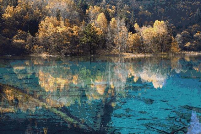 浙江省衢州市养生补贴,衢州旅游景点对全国医护人员免费