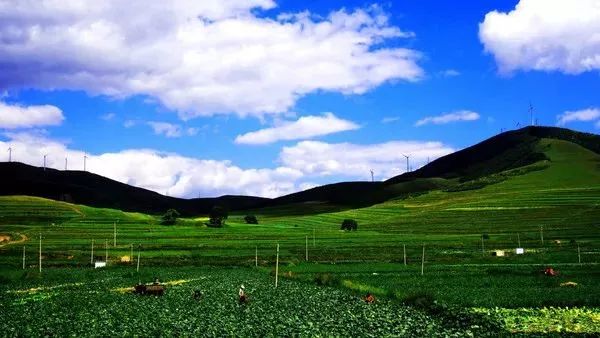 免费半价全国景点大优惠来啦,邯郸5月份免门票景区