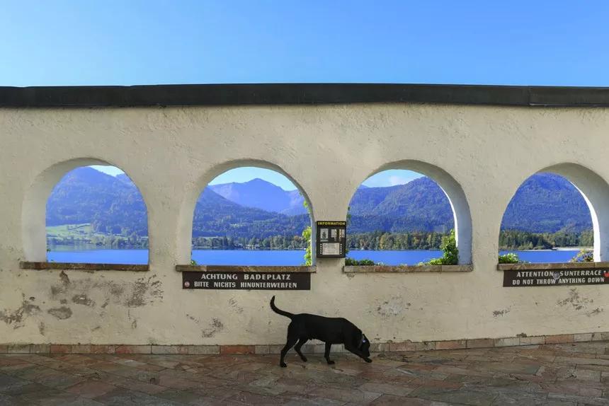 一杯咖啡50块钱,一杯咖啡5元