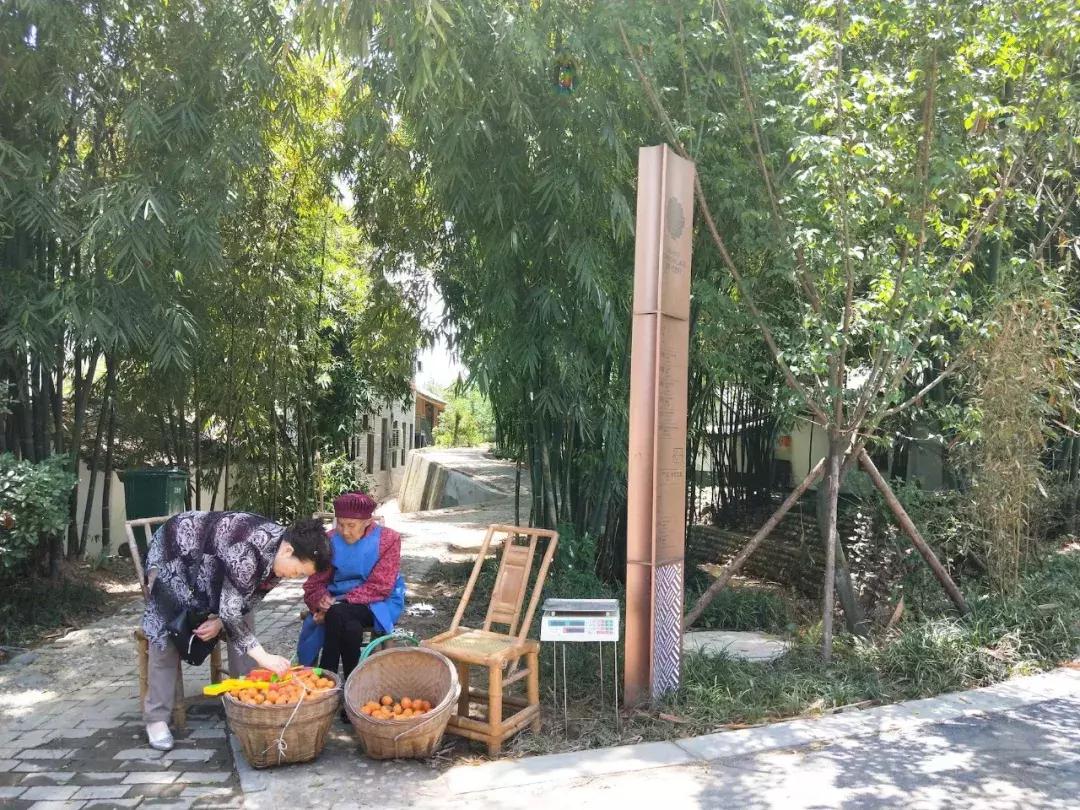 我去了成都向西50里的桃源村,朋友问我是不是去了日本?